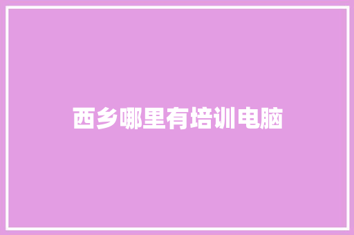 西乡哪里有培训电脑
