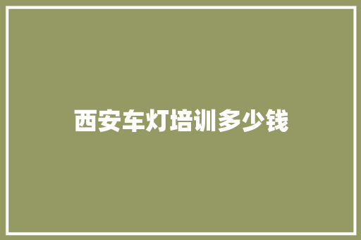 西安车灯培训多少钱