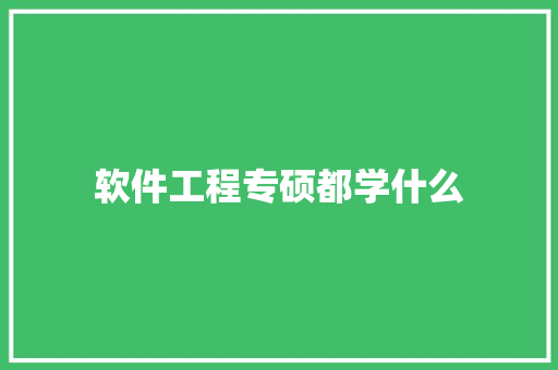 软件工程专硕都学什么