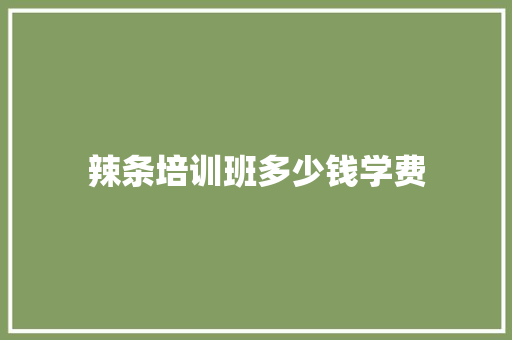 辣条培训班多少钱学费