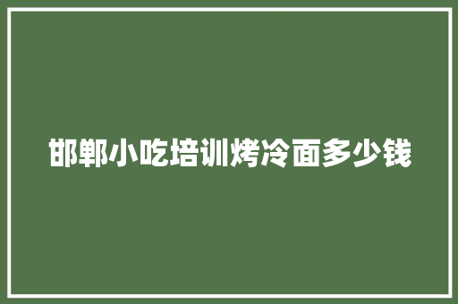 邯郸小吃培训烤冷面多少钱