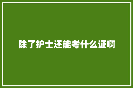 除了护士还能考什么证啊