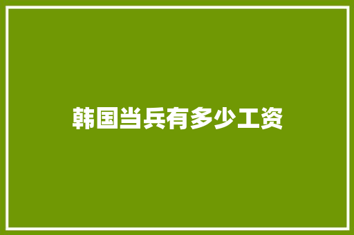 韩国当兵有多少工资