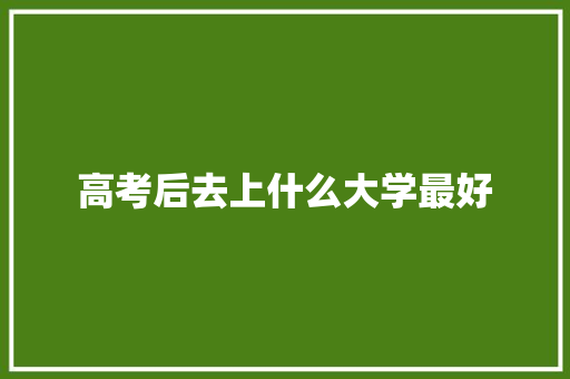 高考后去上什么大学最好
