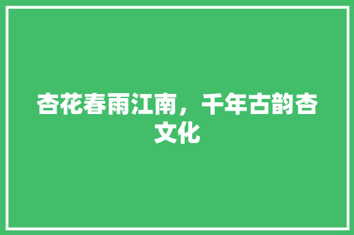 杏花春雨江南，千年古韵杏文化