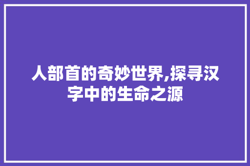 人部首的奇妙世界,探寻汉字中的生命之源