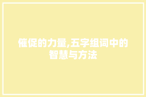 催促的力量,五字组词中的智慧与方法