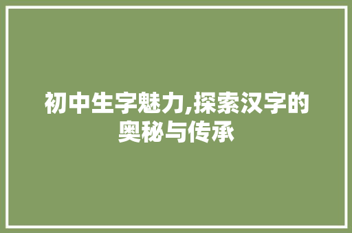 初中生字魅力,探索汉字的奥秘与传承
