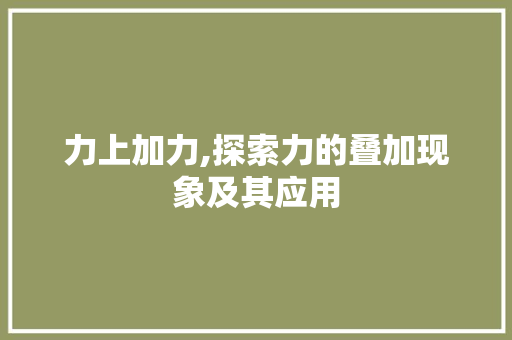 力上加力,探索力的叠加现象及其应用