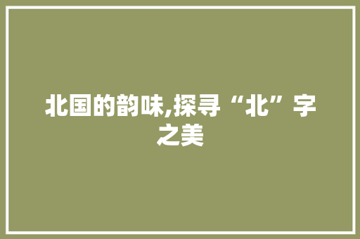 北国的韵味,探寻“北”字之美