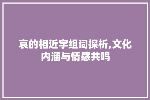 哀的相近字组词探析,文化内涵与情感共鸣