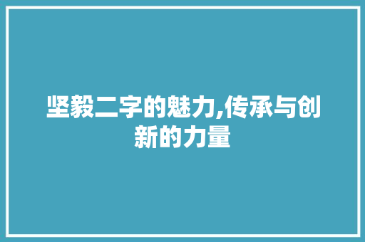 坚毅二字的魅力,传承与创新的力量