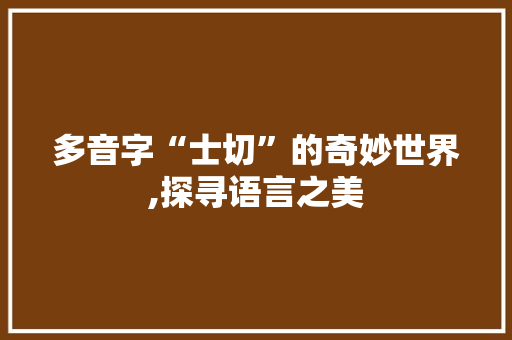 多音字“士切”的奇妙世界,探寻语言之美