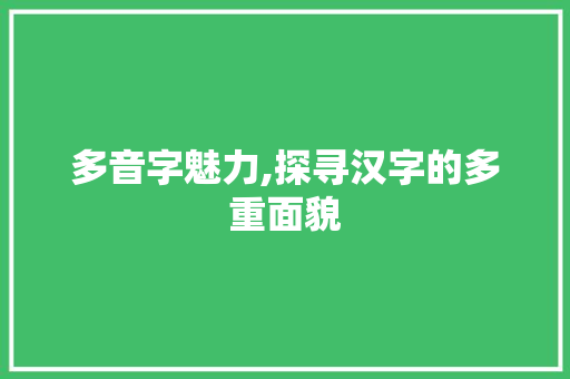 多音字魅力,探寻汉字的多重面貌