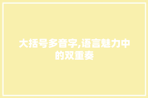 大括号多音字,语言魅力中的双重奏