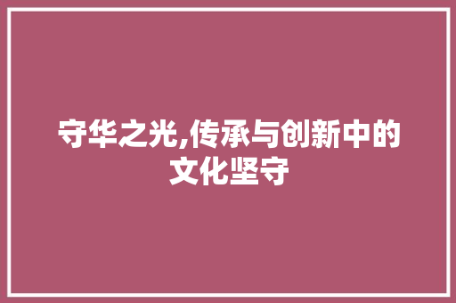 守华之光,传承与创新中的文化坚守