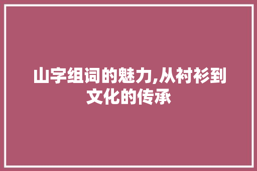 山字组词的魅力,从衬衫到文化的传承