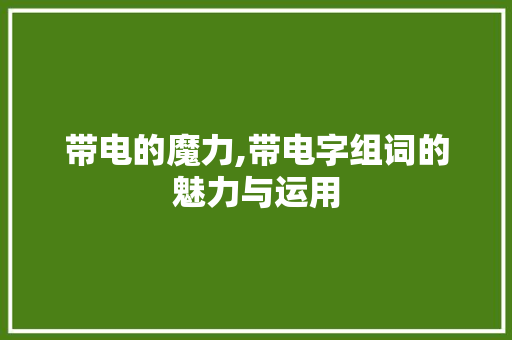 带电的魔力,带电字组词的魅力与运用