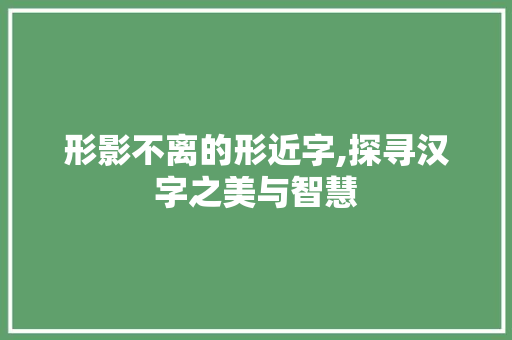 形影不离的形近字,探寻汉字之美与智慧
