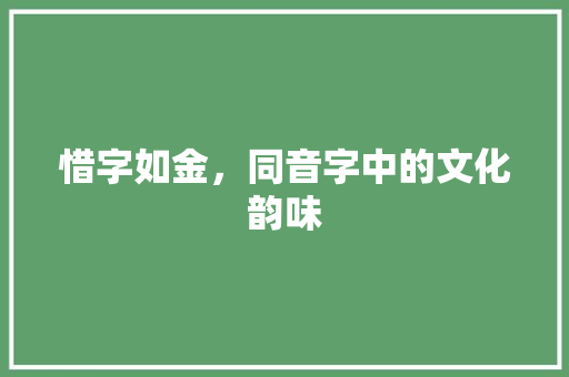 惜字如金，同音字中的文化韵味
