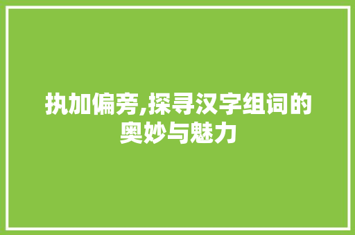 执加偏旁,探寻汉字组词的奥妙与魅力