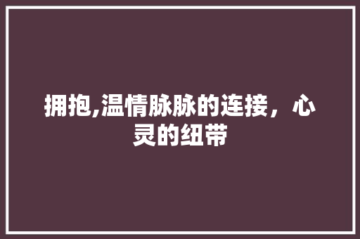 拥抱,温情脉脉的连接，心灵的纽带