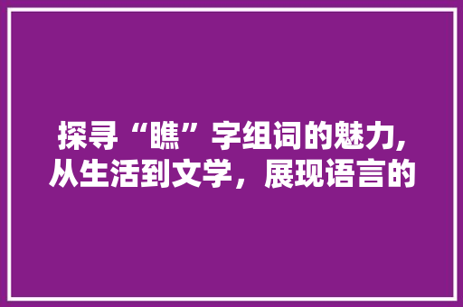 探寻“瞧”字组词的魅力,从生活到文学，展现语言的多姿多彩