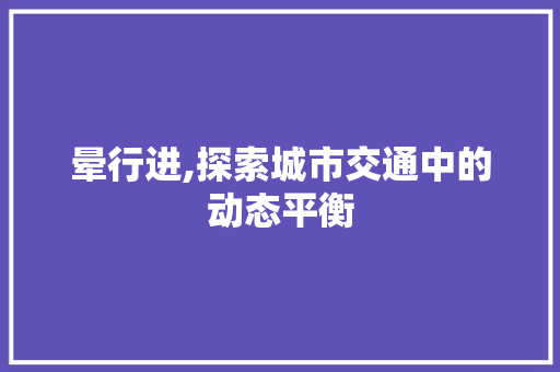 晕行进,探索城市交通中的动态平衡