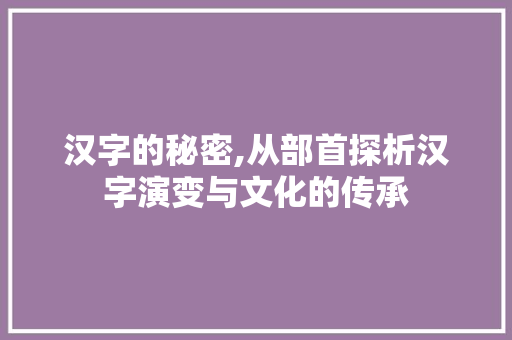 汉字的秘密,从部首探析汉字演变与文化的传承