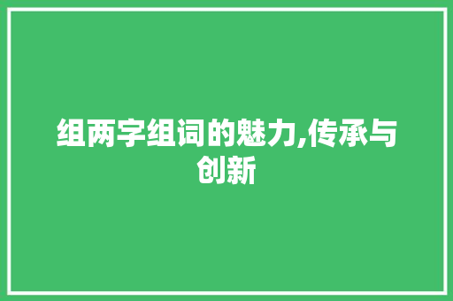组两字组词的魅力,传承与创新