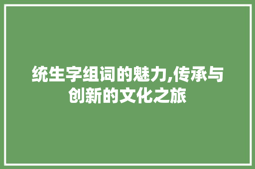 统生字组词的魅力,传承与创新的文化之旅
