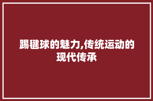 踢毽球的魅力,传统运动的现代传承