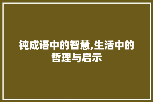 钝成语中的智慧,生活中的哲理与启示