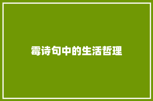 霉诗句中的生活哲理