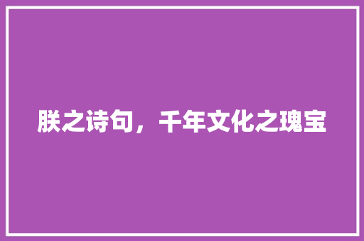 朕之诗句，千年文化之瑰宝