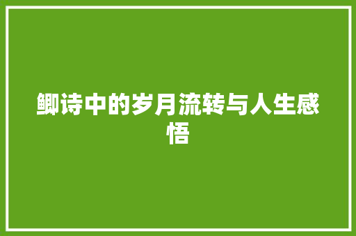 鲫诗中的岁月流转与人生感悟