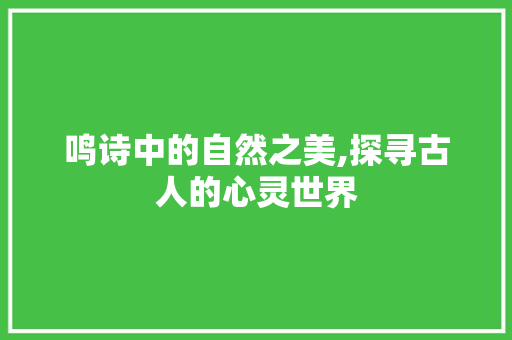 鸣诗中的自然之美,探寻古人的心灵世界