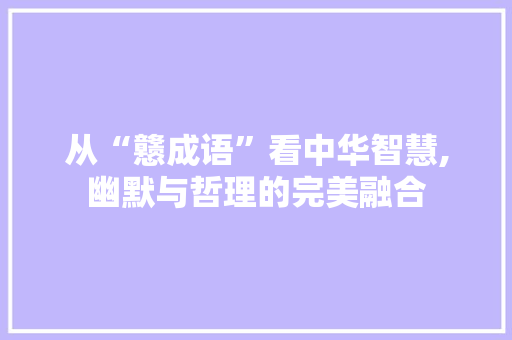 从“戆成语”看中华智慧,幽默与哲理的完美融合