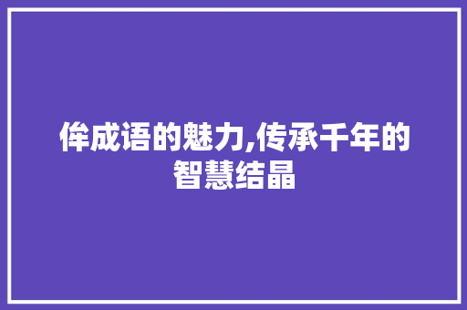 侔成语的魅力,传承千年的智慧结晶