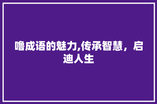 噜成语的魅力,传承智慧，启迪人生