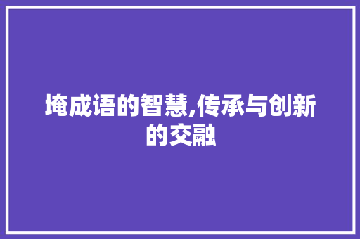 埯成语的智慧,传承与创新的交融