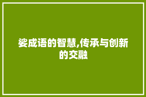 娑成语的智慧,传承与创新的交融