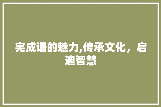 宪成语的魅力,传承文化，启迪智慧