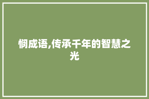 悯成语,传承千年的智慧之光