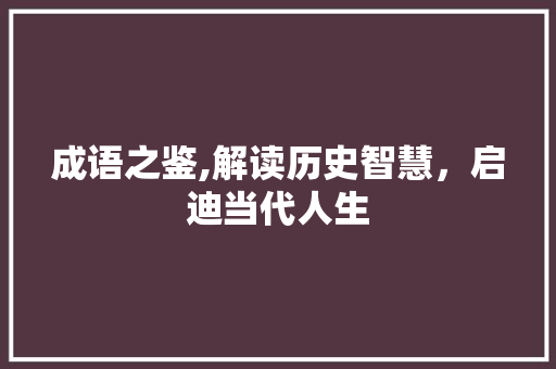 成语之鉴,解读历史智慧，启迪当代人生