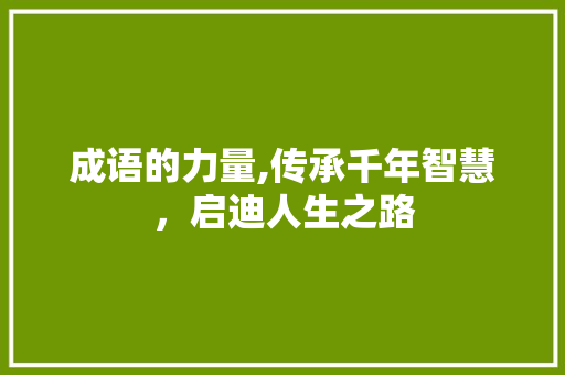 成语的力量,传承千年智慧，启迪人生之路