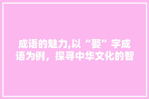 成语的魅力,以“娶”字成语为例，探寻中华文化的智慧结晶