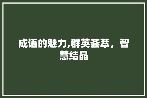 成语的魅力,群英荟萃，智慧结晶