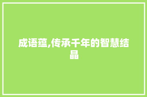 成语蕴,传承千年的智慧结晶