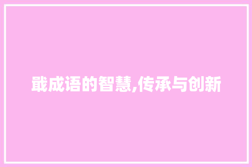 戢成语的智慧,传承与创新